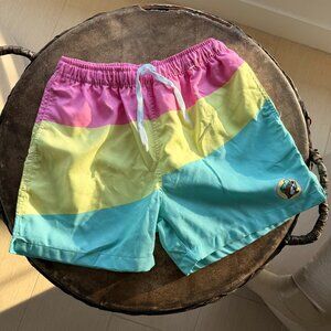 Buc-ees Men’s Swim Trunk Shorts Pastel Colorblock Lined Surf Swim Beach Size S
